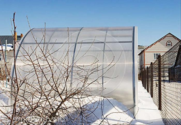 हीटिंग greenhouses polycarbonate सर्दियों में