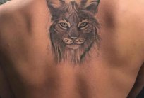 少しつつ、タトゥー. Lynx:意味のタトゥー