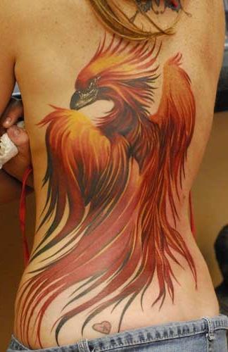 Tatuaż phoenix szkice