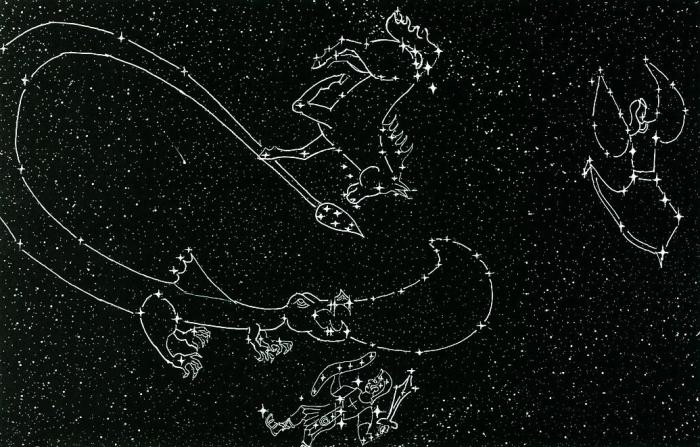 how many constellations the divided sky