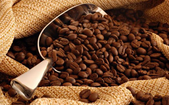 як вибирати каву в зернах