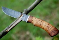 Bıçak «Грибник» – sadık yardımcısı ormanda