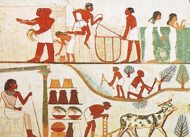 古代的埃及经济