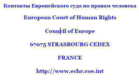 宪法法院中，欧洲法院