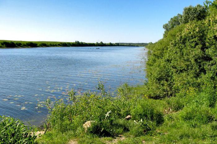 river Pronya Ryazan region