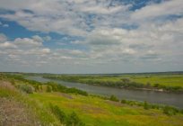 Der Fluss Проня (Oblast Rjasan): Beschreibung, Merkmale, Foto