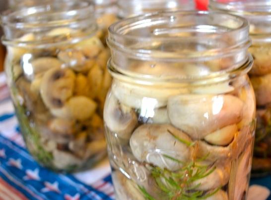 Salting the mushrooms in jars