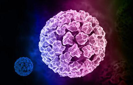 كيفية الحصول على اختبار فيروس الورم الحليمي البشري لتحديد وجود