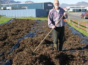 Iceland moss medicinal properties