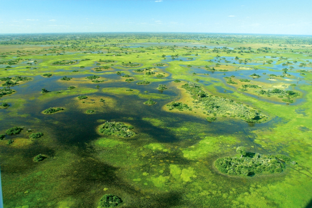 सुविधा के Okavango डेल्टा