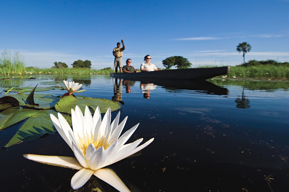 नदी के मुहाने Okavango