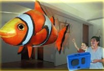 Flying fish-a hit of sales in the world of children's toys
