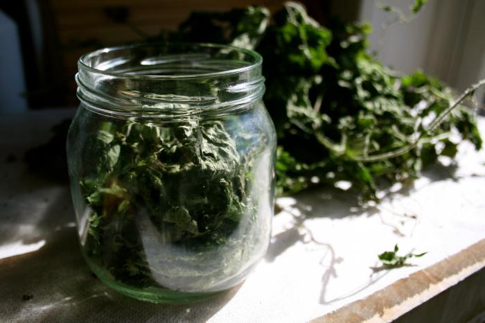 how to brew nettle rinse hair