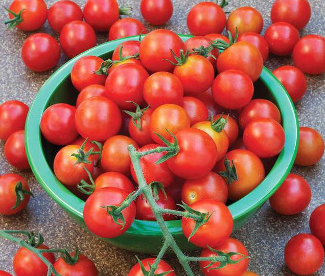 doce variedades de tomate