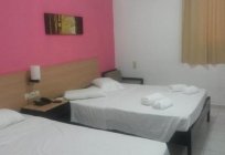 Sergios Hotel 3* (Girit, Hersonissos): tanım, oda içi kasa, hizmet, yorumlar