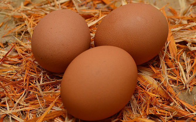wie die frische der Eier prüfen