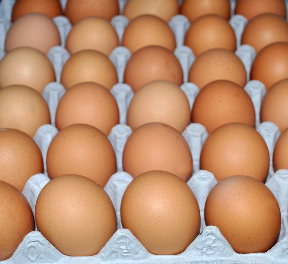 how to check chicken eggs for freshness