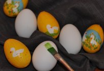 Як перевірити свіжість яєць в домашніх умовах?