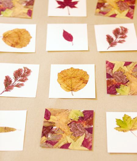 aplikacje z jesiennych liści