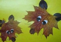 Picture of autumn leaves as a great way to decorate your home