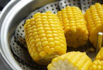 Propiedades beneficiosas de la cocida de maíz: hablaremos sobre la gran злаке