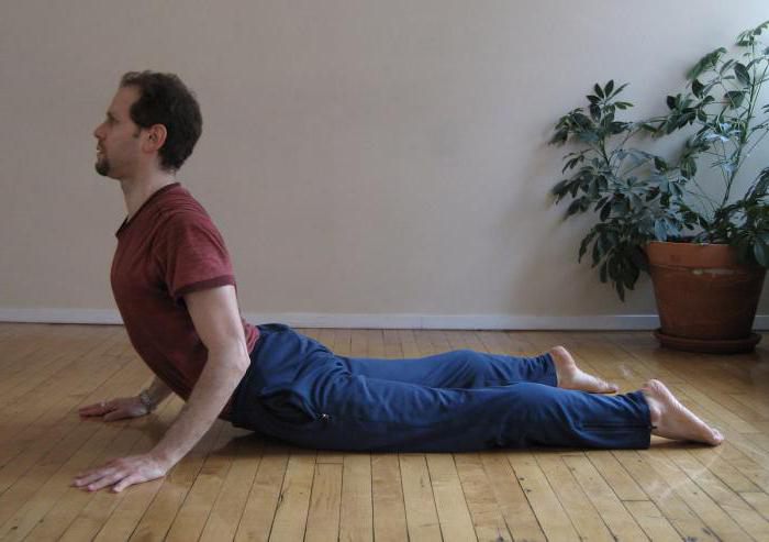 Cobra pose in yoga benefits
