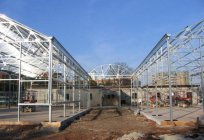 Construction of the greenhouse complex: an example of a business plan