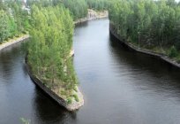 のSaimaa運河です。 サイマー湖です。 Vyborgベイがあります。 川クルーズ