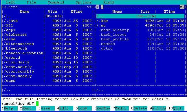 console de gerenciador de arquivos para o linux