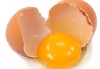 How to test the freshness of eggs: tips