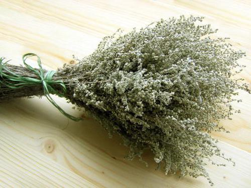 Artemisia Bewertungen