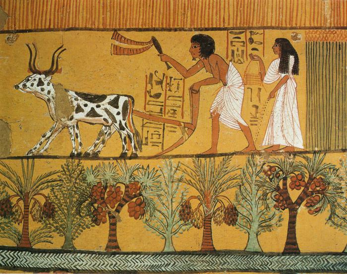 relieves y pinturas murales del antiguo egipto