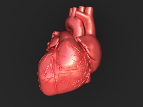 condutora sistema de coração