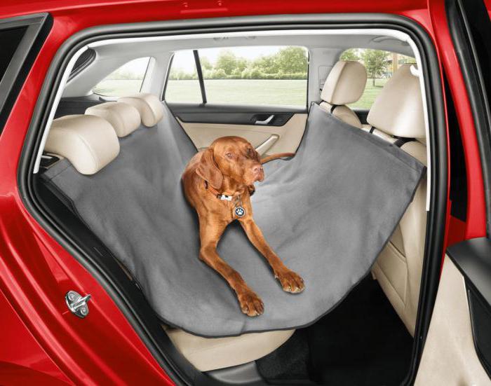 автогамаки para o transporte de cães no carro