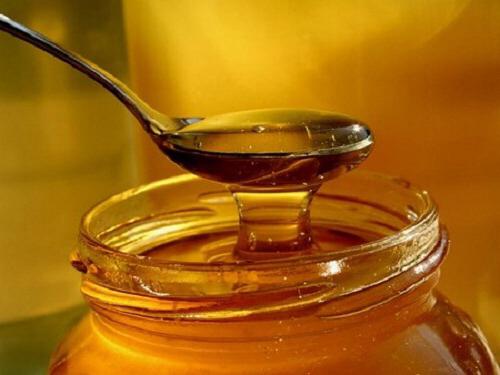 براعم الصنوبر التسريب على العسل