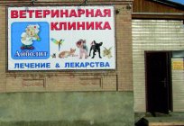 Which is better veterinary clinic (Tomsk)? Where to treat animals?