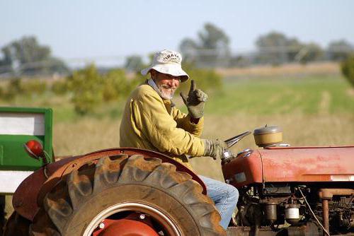 Права на трактар: як атрымаць