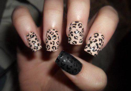 diseño de uñas de leopardo de la foto de la novedad