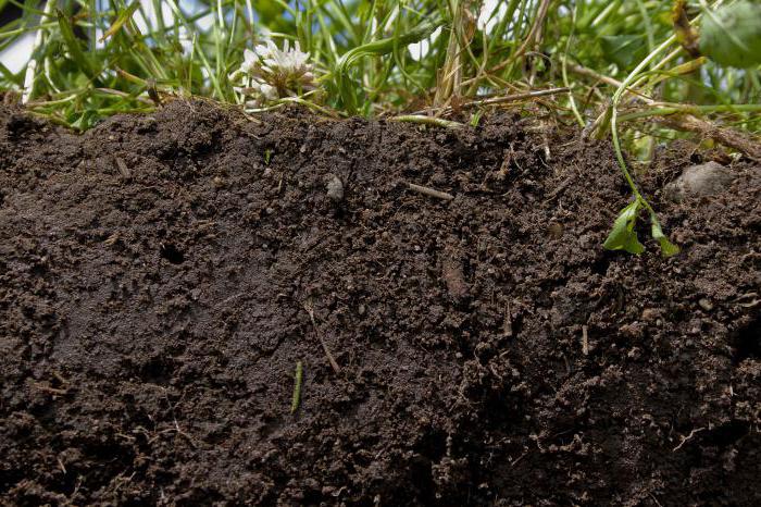 the basic property of the soil