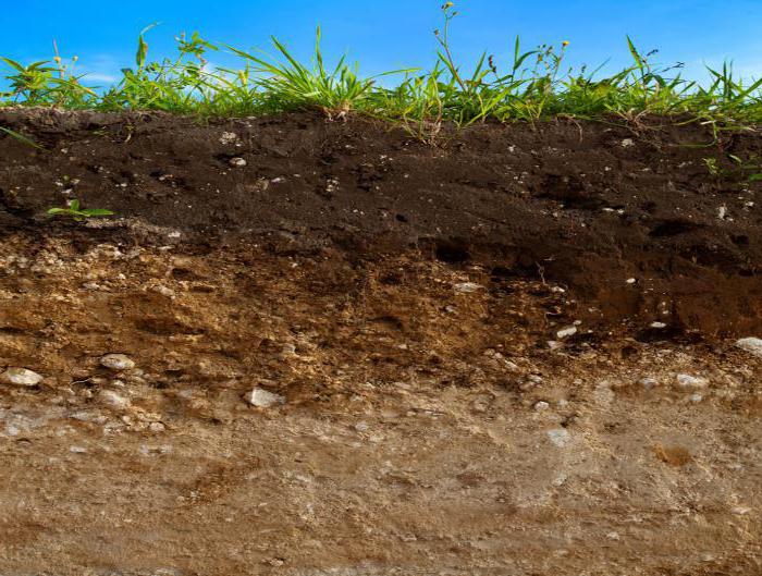 the basic physical soil properties