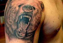 什么是一个纹身的熊？