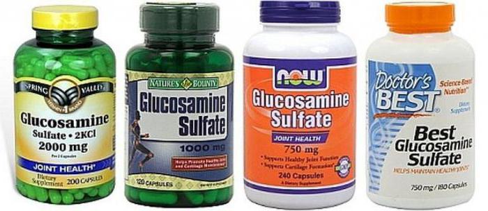 Glucosamine Chondroitin MSM دليل