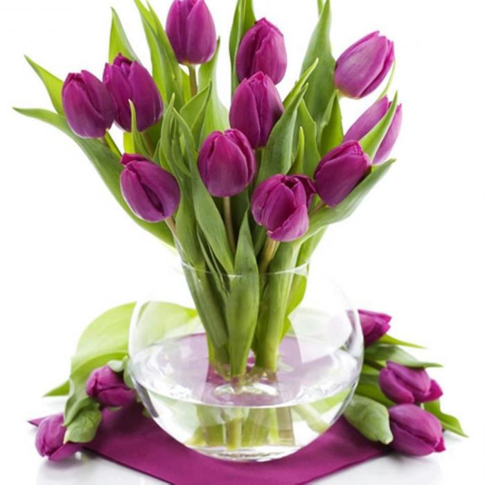 jak zachować świeże tulipany