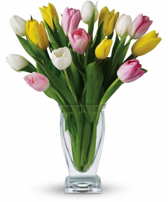 tulipany jak długo stoją