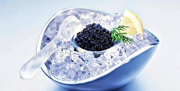 the black caviar of the sturgeon