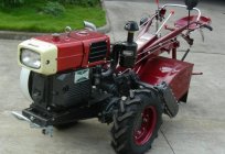 Engines for power tillers - what to choose?