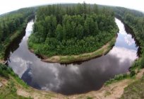 Devlet doğa koruma alanı Üst-Тазовский