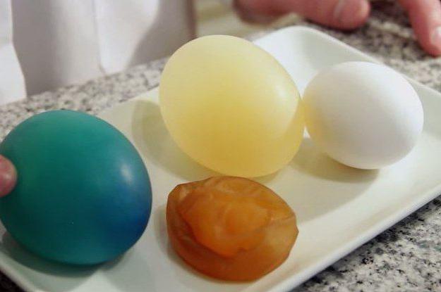 експеримент з яйцем і оцтом