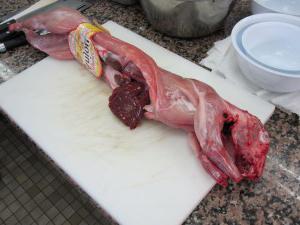 la matanza de conejos para carne