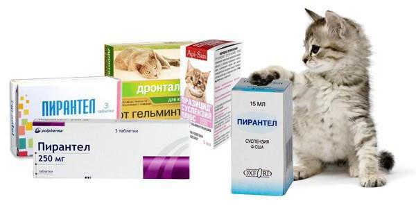 Pyrantel suspension for cats dosage